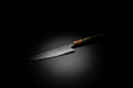 Raiden Gyuto — Fond noir spotlight